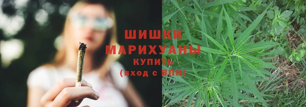 первитин Дмитриев
