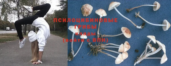 a pvp Дмитров
