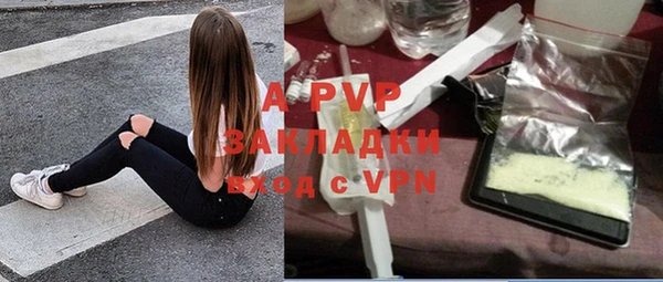 a pvp Дмитров