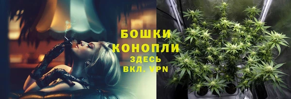дурь Дмитровск