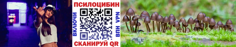Галлюциногенные грибы Cubensis  Купить закладки  Зеленогорск 
